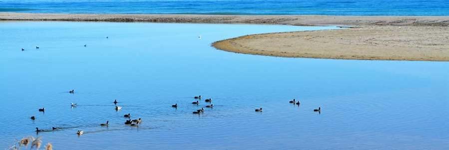Verano Azul Oda fotoğraf